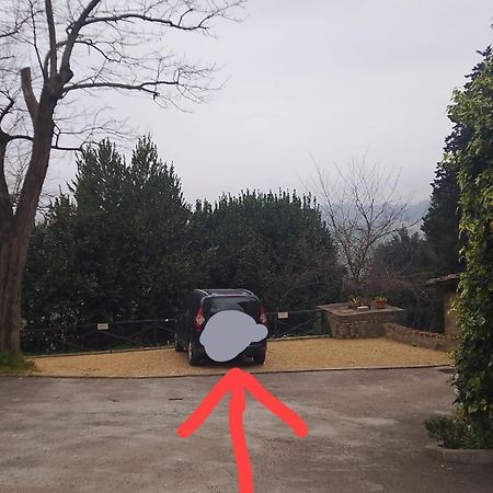 Megognano Casa Michelangelo 아파트 외부 사진